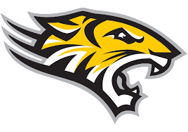 /images/NCAALogos/towson-university.png